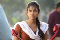 Amala Paul New Photos